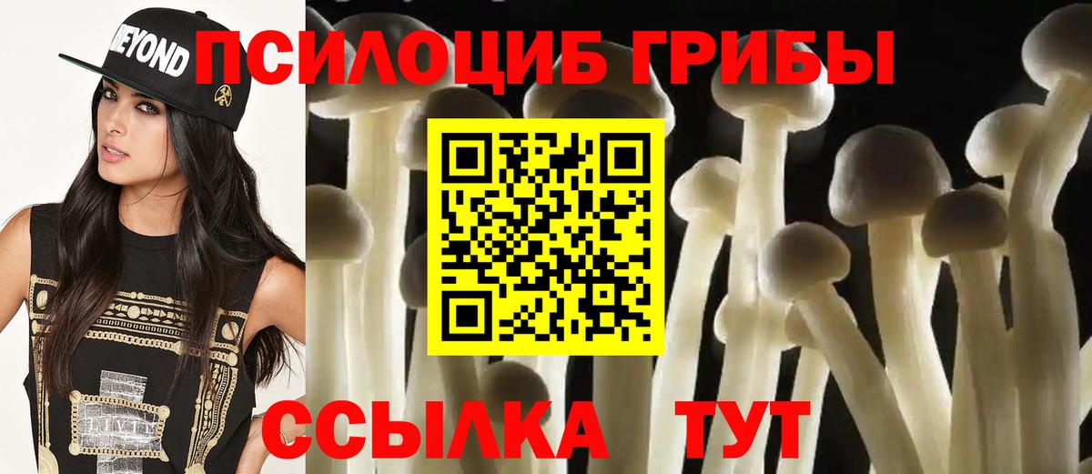 Галлюциногенные грибы мицелий Юрга