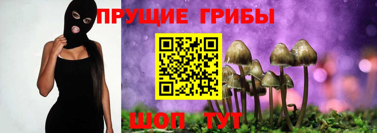 Юрга  Галлюциногенные грибы Psilocybine cubensis  Вход с VPN  Галлюциногенные грибы мицелий 